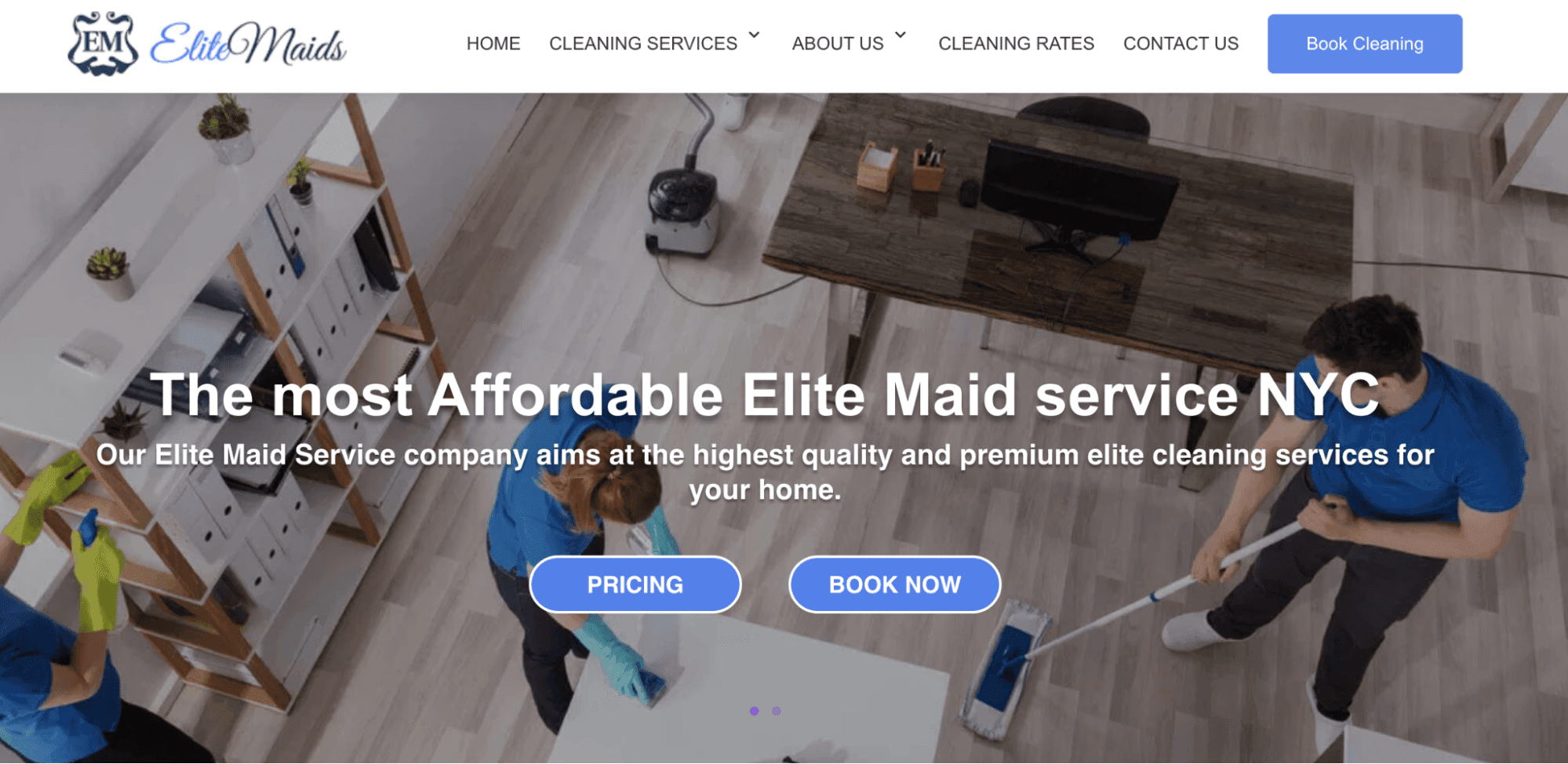 Screenshot showing Elite Maid home page