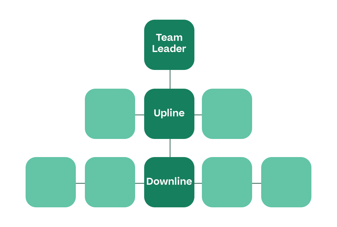 Flow chart showing a “Team Leader” square at the top, a few connected squares underneath showing that say “Upline,” and several other connected squares underneath that say “Downline"