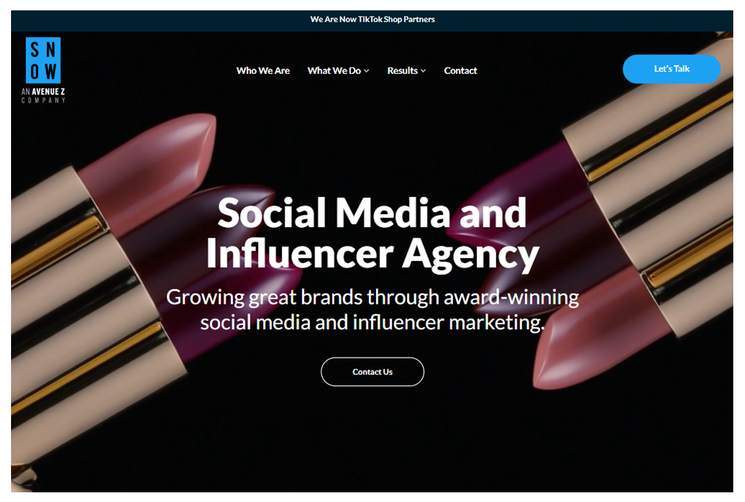 Snow Agency website home page